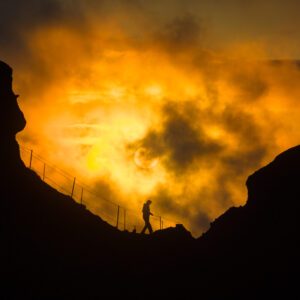 Силуети / Silhouettes of Life