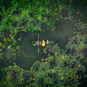 Златният път / Golden Passage