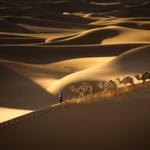 Водачът / The Guide