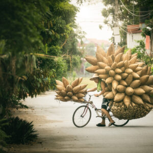 Магията на Виетнам / The Magic of Vietnam