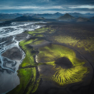 Дървото на живота / The Tree of Iceland