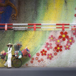 Традицията в движение / Tradition in Motion