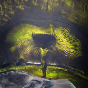 Дървото на живота II / The Tree of Iceland II