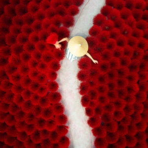 Червена красота / Red Beauty