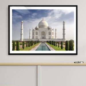Принт "Тадж Махал"